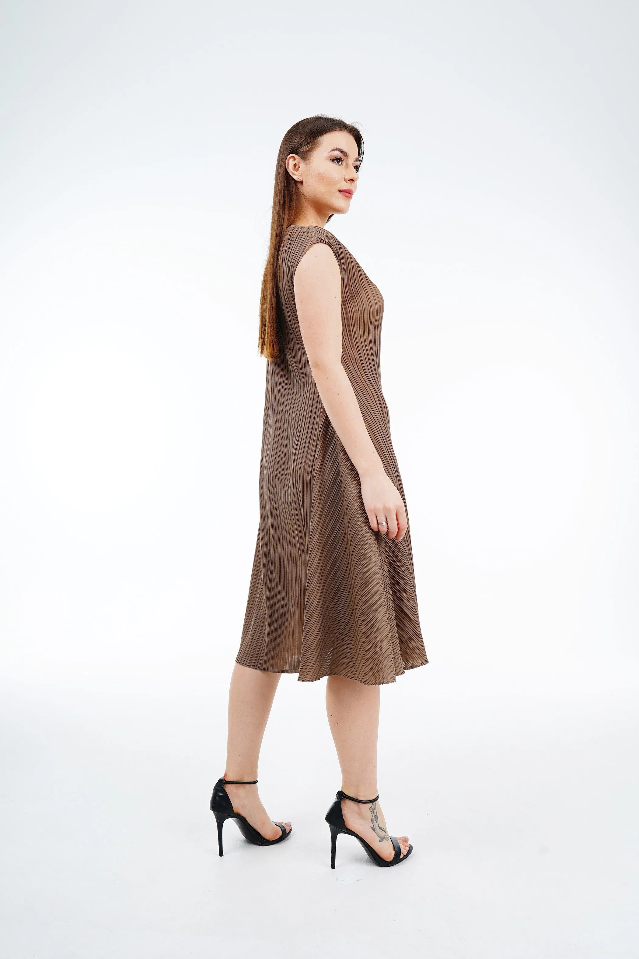 Pleated Flared Dress